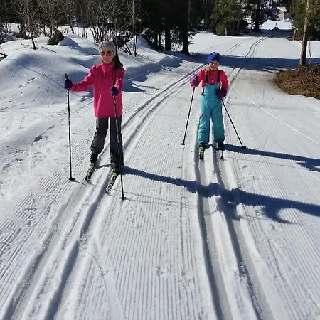 Apartament Melanie's